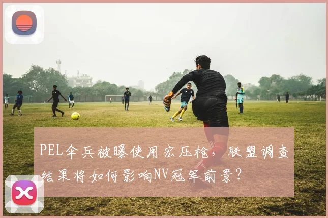 PEL伞兵被曝使用宏压枪，联盟调查结果将如何影响NV冠军前景？