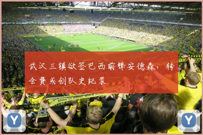 武汉三镇欲签巴西前锋安德森，转会费或创队史纪录